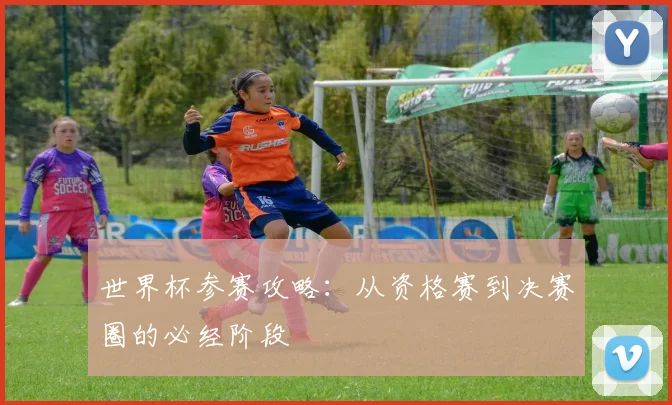 世界杯参赛攻略:从资格赛到决赛圈的必经阶段