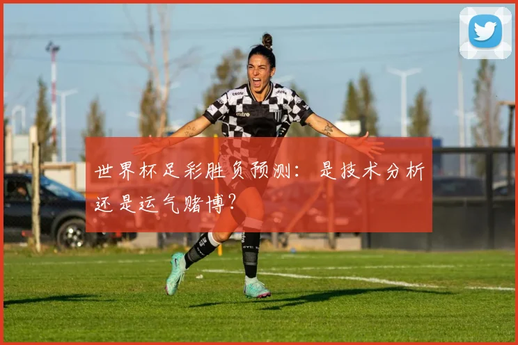 世界杯足彩胜负预测：是技术分析还是运气赌博？
