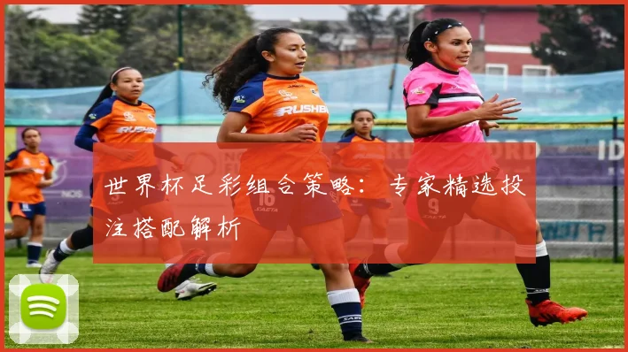 世界杯足彩组合策略：专家精选投注搭配解析