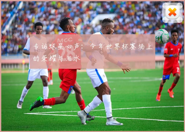 专访球星心声：今年世界杯赛场上的荣耀与泪水