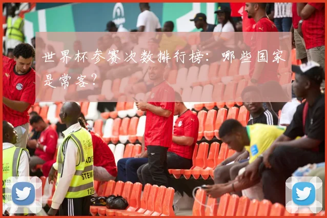 世界杯参赛次数排行榜:哪些国家是常客?