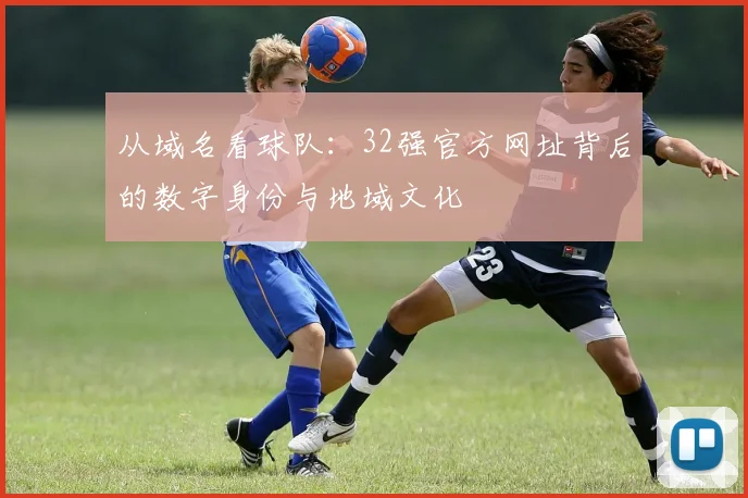 从域名看球队:32强官方网址背后的数字身份与地域文化