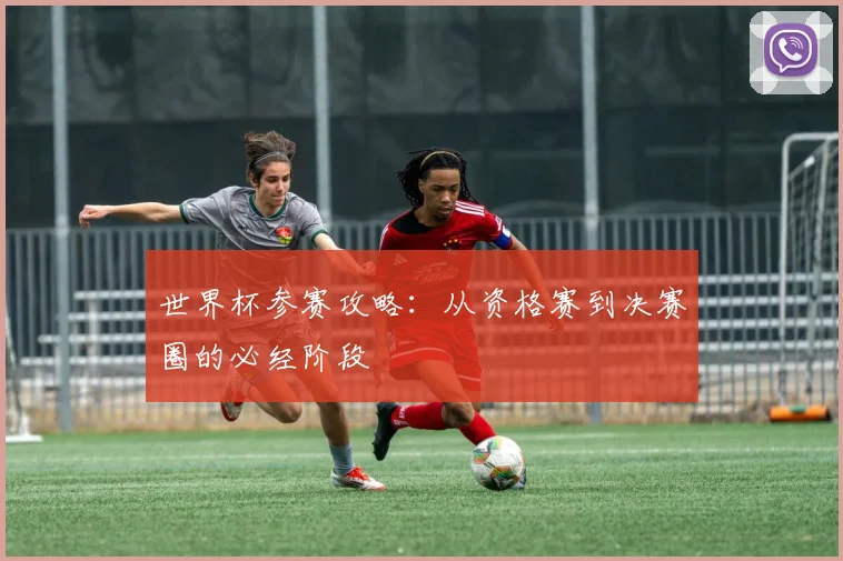 世界杯参赛攻略:从资格赛到决赛圈的必经阶段