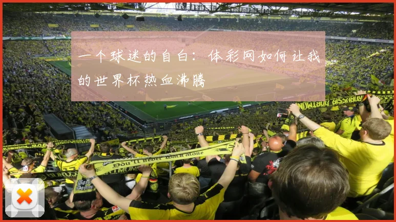 一个球迷的自白:体彩网如何让我的世界杯热血沸腾