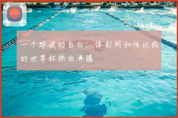 一个球迷的自白:体彩网如何让我的世界杯热血沸腾
